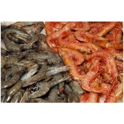 Silver Pomfret Fish Rock Crabs Live Wholesale Supplier From Mumbai