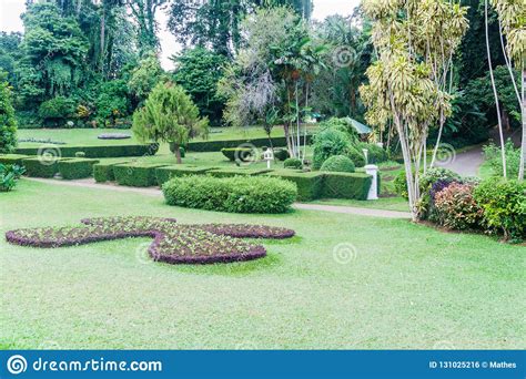Grounds Of Beautiful Peradeniya Royal Botanical Gardens Near Kandy Sri