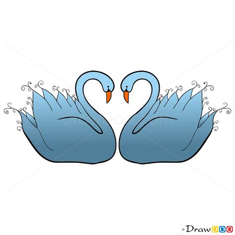 Swans Heart Shape Step By Step Drawing Lessons