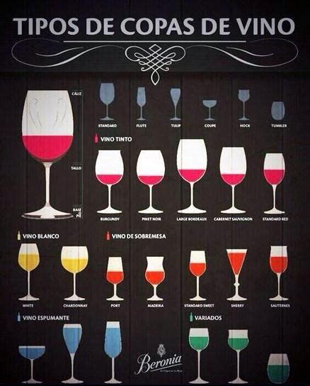Copas de vino, cava y champán. Qué copas elegir para cada vino y licor - Bricoinventos