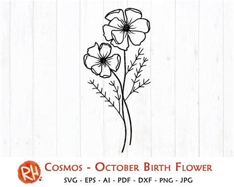 Cosmos Flower Svg October Birth Flower Svg Сosmos Flower Silhouette