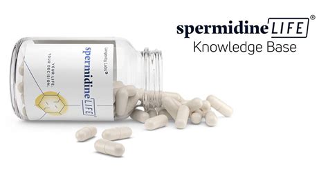 «spermidine is a polyamine compound (c7h19n3) found in ribosomes and living tissues, and having various metabolic functions within organisms. spermidineLIFE® US | Ingredient Questions
