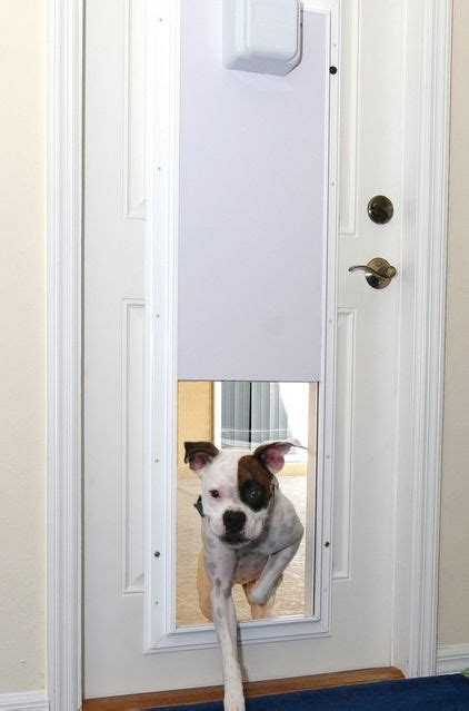 I opened the door and looked inside. Electronic Pet Door with One Touch Programming Wireless ...