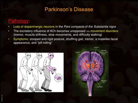 Ppt Drugs Targeting The Cns Powerpoint Presentation Free Download