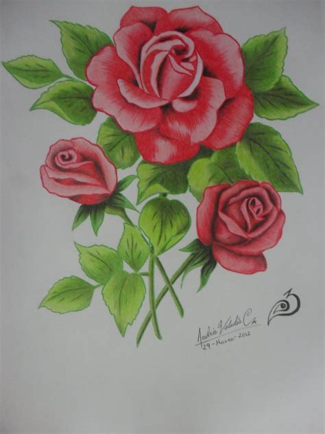 Propuestas De Dibujos De Rosas Fotos De Dibujos A Lap