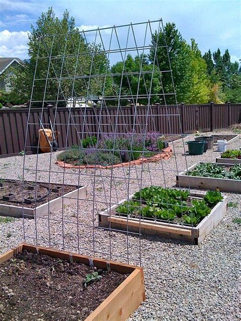 Cucumbers, green beans, and peas all have to grow up and over something, and i'll be honest in that i have gone through so many variations of netting, twine, supports, and wooden trellises. Trellis I made from cattle panel for the cucumbers ...