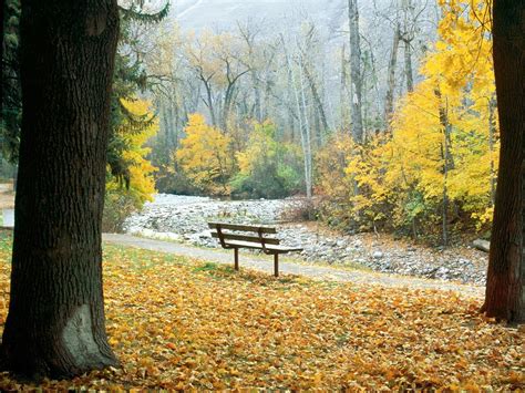Download Wallpaper 1600x1200 Bench Park Autumn Trees Montana Hd