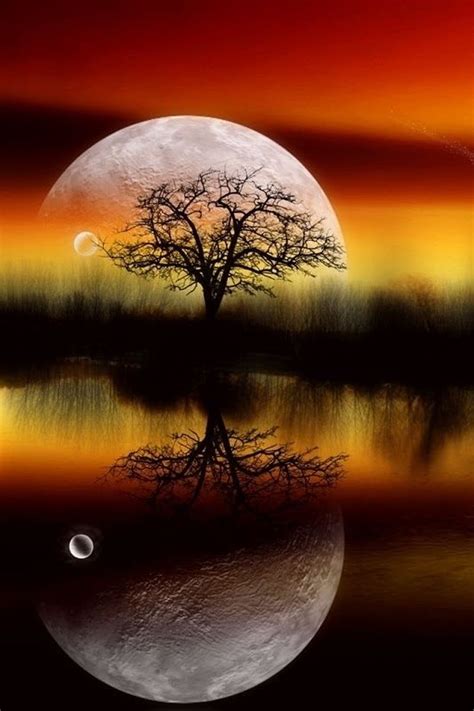 See more ideas about beautiful moon, shoot the moon, moonscape. Full Moon Photography | visit verycoolphotoblog com ...
