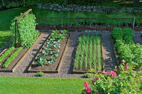 The Complete Guide To Organic Gardening With Zero Skills Hort Zone