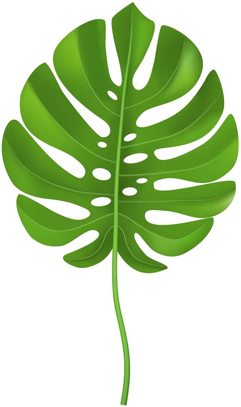 Break out your top hats and monocles; Tropical Palm Leaf Transparent PNG Clip Art Image ...