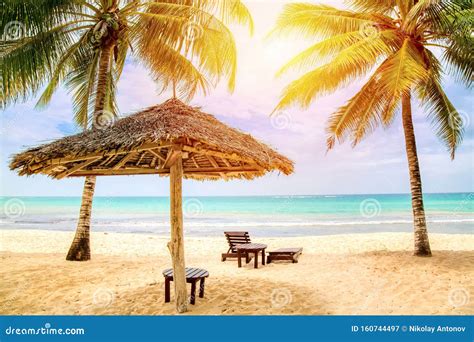 Sun Loungers Under Umbrella On The Sandy Beach With Palms By The Sea And Sky Vacation