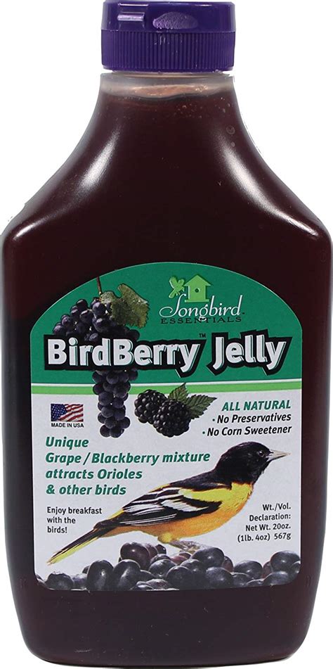 Maybe you would like to learn more about one of these? Jelly for orioles (Bird Berry) - The Avant-Garden Shop