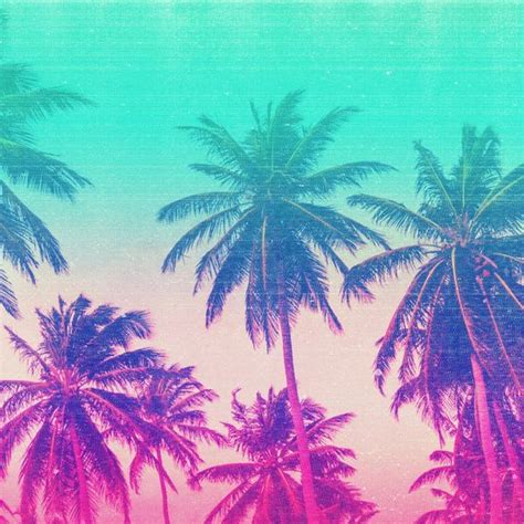 Pink Turquoise Tropical Beach Sunset Palms Art Print By Hyakume