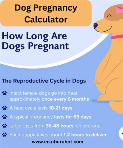 Dog Pregnancy Calculator Uburubot