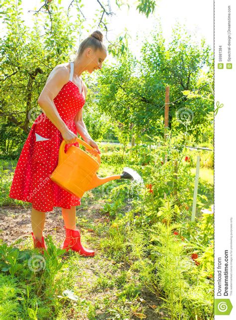 Woman Watering The Plants Stock Photo Image Of Gardening 59981384