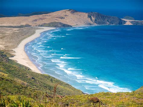 The Top Beaches To Visit In New Zealand Skyticket Travel Guide