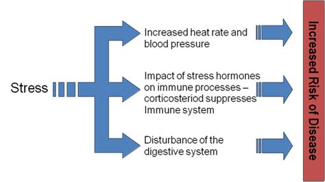 Stress Illness And The Immune System
