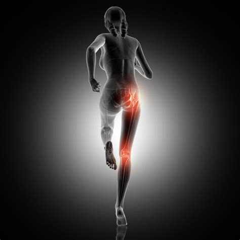 Gluteus Medius The Answer To Your Hip Pain Equilibrium Sports And