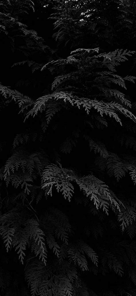 Black Phone Wallpapers Wallpaper Cave