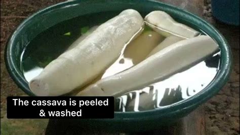 Making Cassava Bread In Guyana Youtube