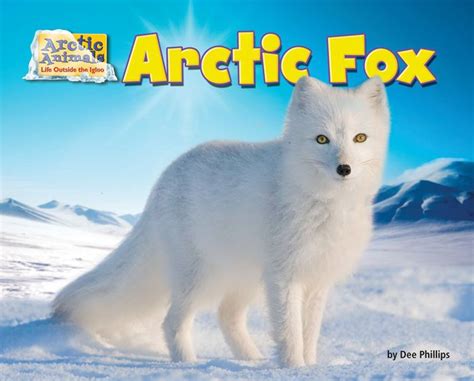 Arctic Fox By Dee Phillips Hardcover Barnes And Noble®