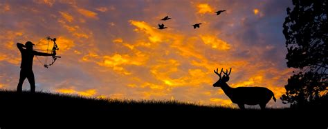 23 Hunting Backgrounds Wallpapers Images Pictures Design Trends