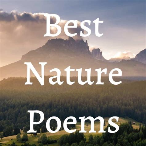10 Of The Best Nature Poems Every Poetry Lover Must Read