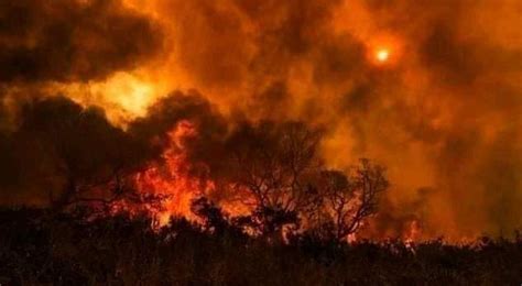 Massive Forest Fire Breaks Out In Balochistans Forests