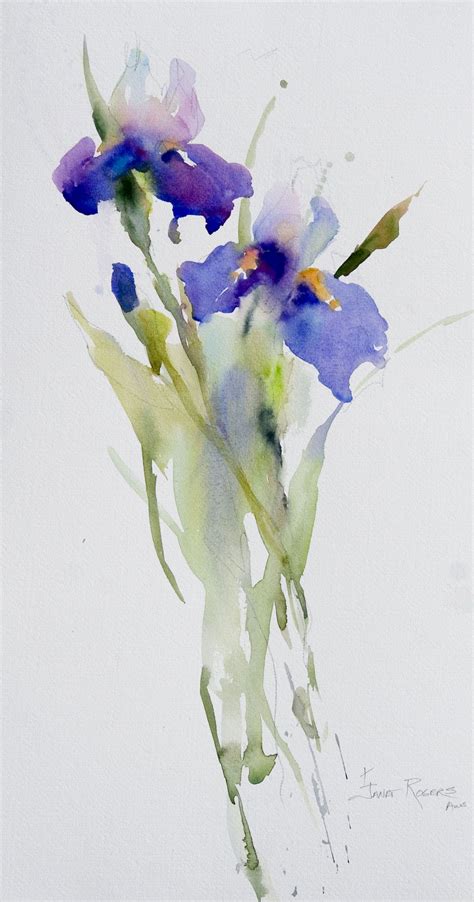 Janet Rogers Irises Watercolor Flowers Paintings Iris