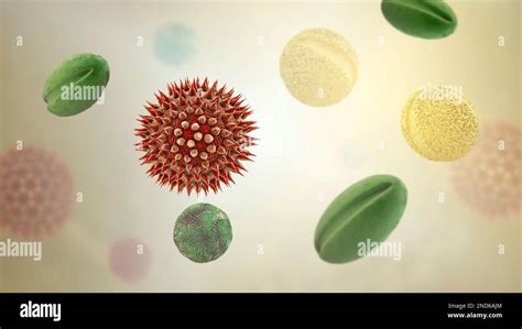 Pollen Grains From Different Plants Computer Illustration Pollen