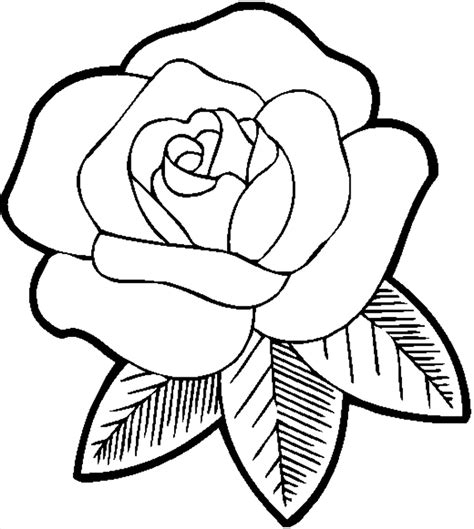 Cool Rose Drawings At Explore Collection Of Cool