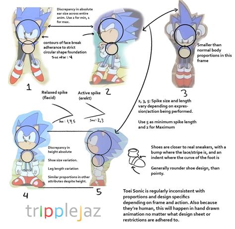 Toei Sonic Model Sheet Images And Photos Finder