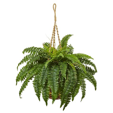 12 fern artificial plant (set of 12) $49.99. Nearly Natural 33 in. Boston Fern Hanging Basket-6930 ...