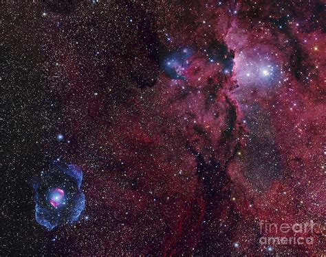 Emission Nebula Ngc 6188 Star Formation Photograph By Robert Gendler