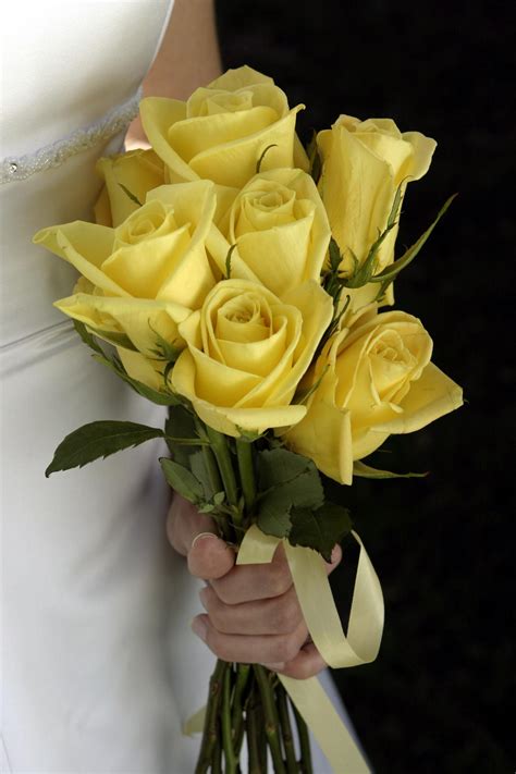If you want to spruce up your gardens or homes with yellow flowers, here are some of the best yellow flowers you. Symbolic Meaning of the Truly Spectacular Yellow Roses ...