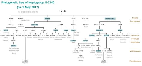 This phylogeny or family tree of j1 haplogroup subclades is based on the isogg (2012) tree, which is in turn based upon the ycc 2008 tree9 and subsequent published research. Phylogenetic trees of Y-chromosomal haplogroups - Eupedia