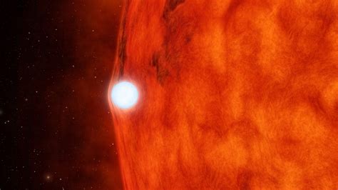Kepler Views The Effects Of A Dead Star Bending The Light Of Its