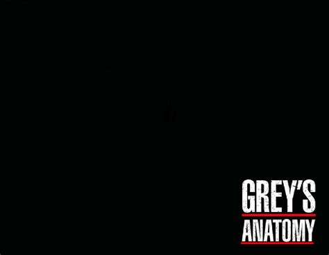 Grey Anatomy Logo Greys Anatomy Photo 489314 Fanpop
