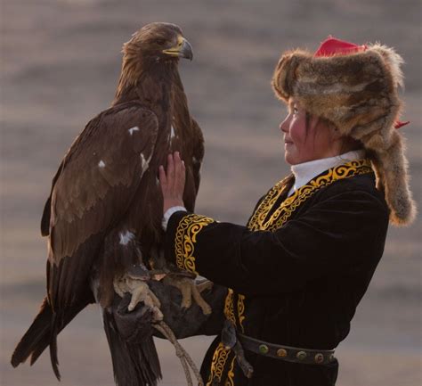 Eagle Hunter Ashol Pan Of Mongolia Holds Her Golden Eagle Giving