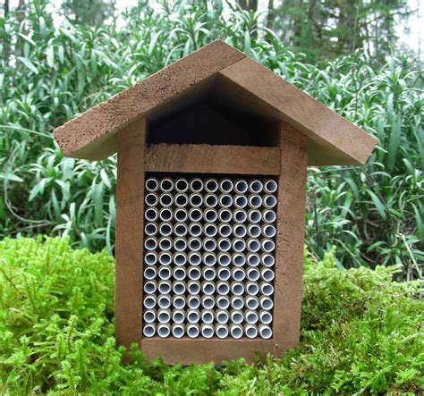 Learn how to build an insect or bug hotel, and which materials to fill it with, so you can attract more pollinators and beneficial insects to your garden. Full House Mason bee home | Mason bee house, Mason bees, Bee houses