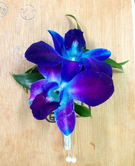 37 Blue Orchid Bouquets Ideas Blue Orchid Bouquet Blue Orchids