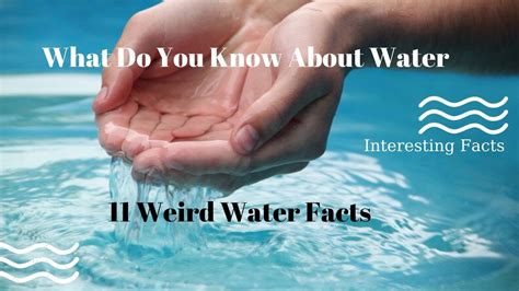 What Do You Know About Water Interesting Facts 11 Weird Water Facts