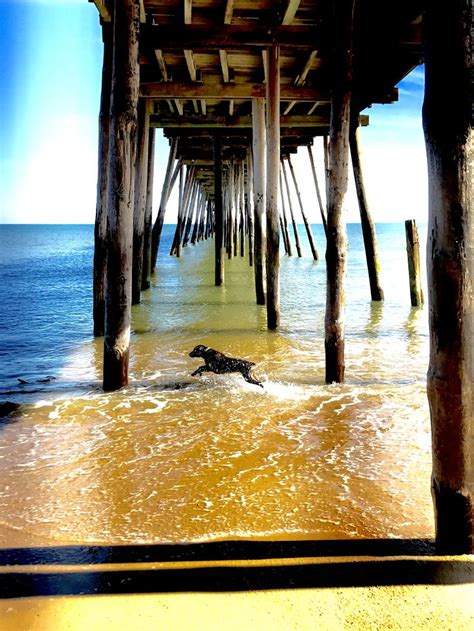 Pin On Outer Banks Photo Contest Sponsored By Village Realty
