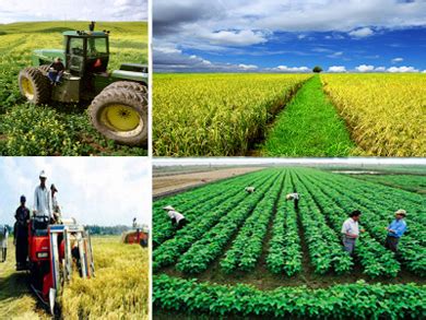 Latar belakang adalah dasar atau titik tolak untuk memberikan pemahaman kepada pembaca atau pendengar mengenai apa yang ingin kita sampaikan. INDUSTRIALISASI MODERN DI PEDESAAN | Lentera Geosfer Indonesia