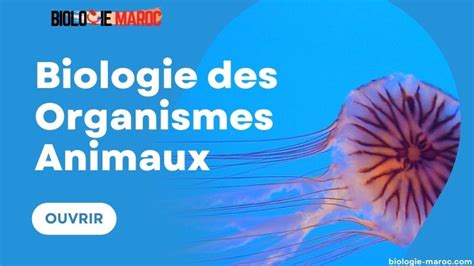 Biologie Animale S2 Pdf Cours Td Tp And Examens Corrigés