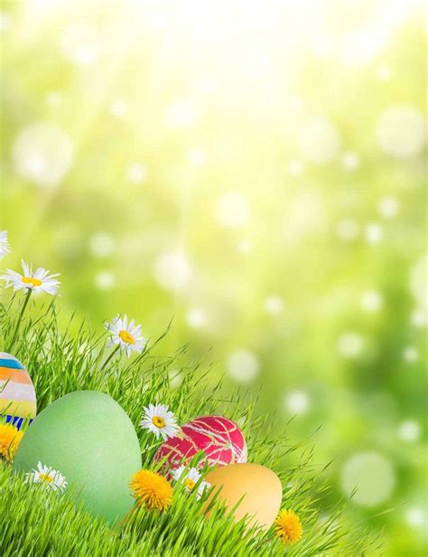 Easter Eggs In Sunshine Bokeh Sparkle Photography Backdrops Easter