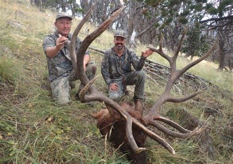 Wyoming Hunter Bags World Record Elk With Crossbow