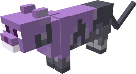 Filepurple Catpng Official Minecraft Wiki