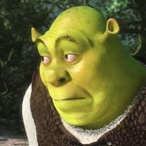 Shreks And I Oop Face Funny Profile Pictures Shrek Funny