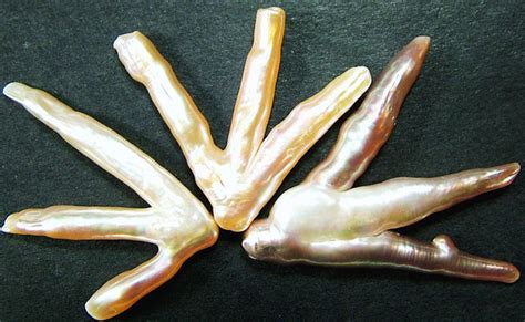 Chicken Feet Keshi Pearls High Luster 37cts Pf426
